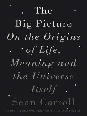 cover image of The Big Picture: On the Origins of Life, Meaning, and the Universe Itself